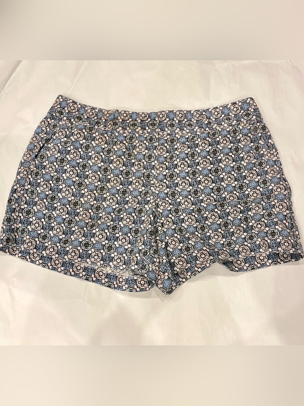 Anne Taylor Loft Floral Shorts Sz 8